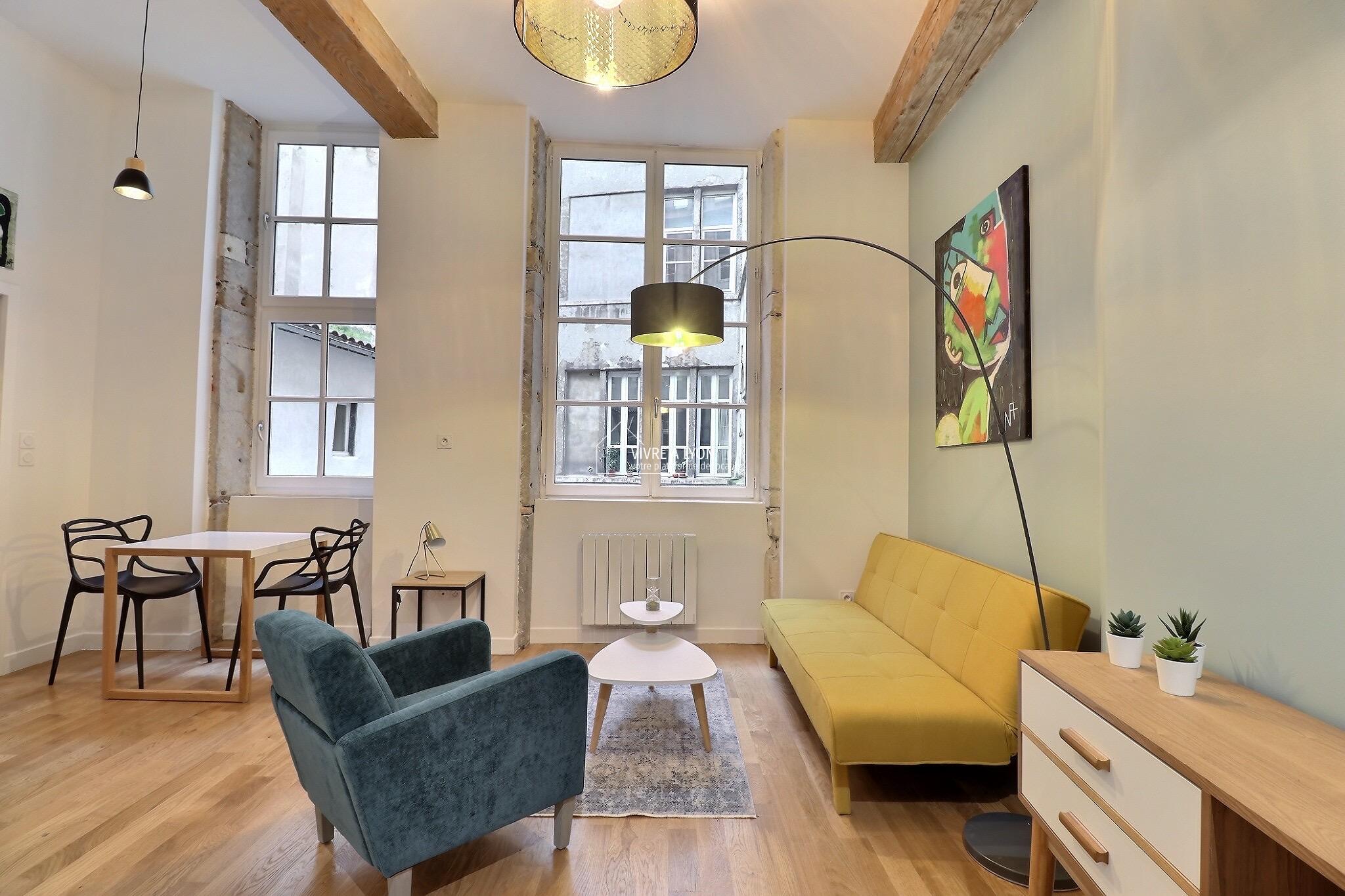 Location appartement meublé Lyon - salon