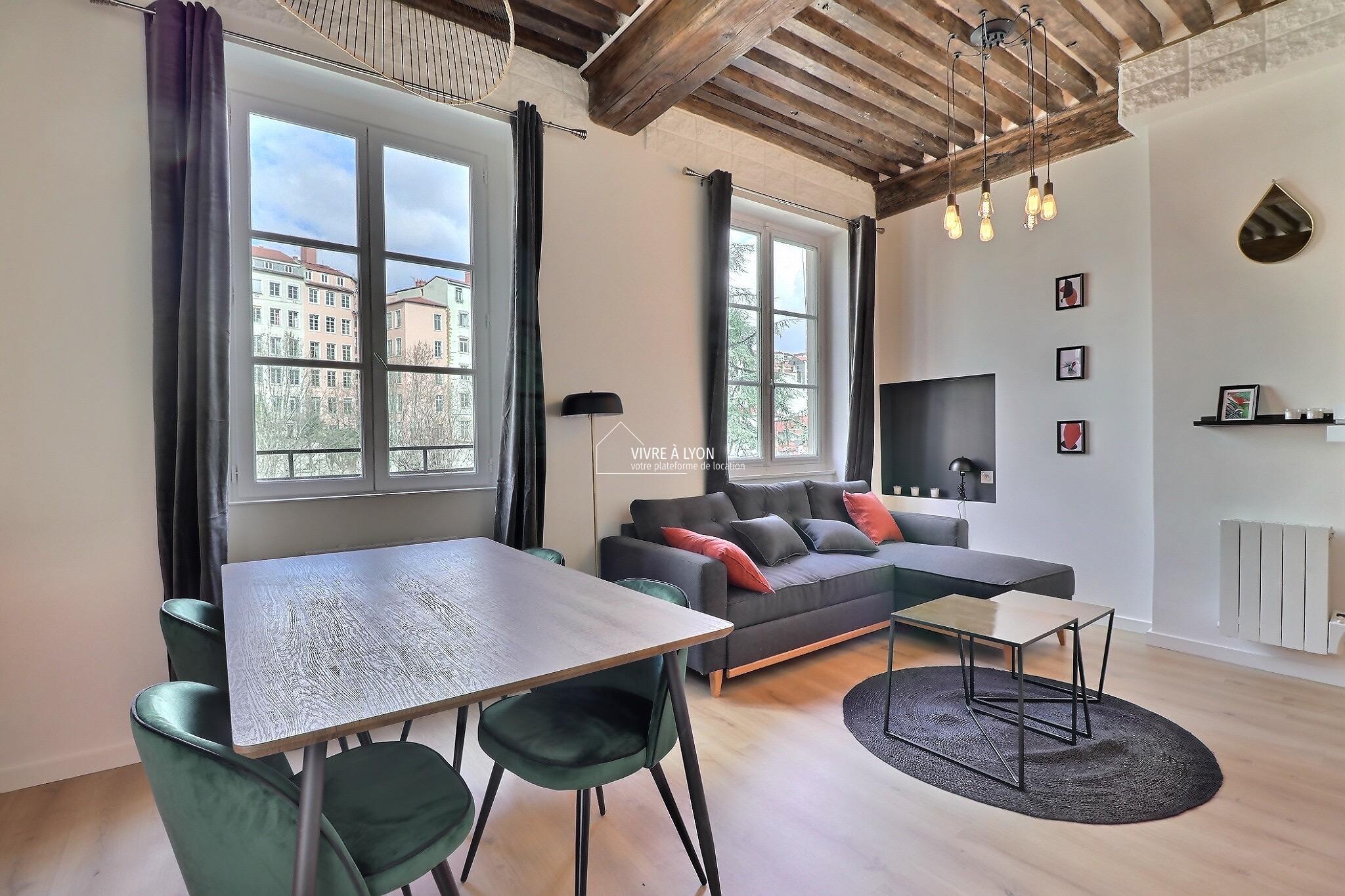 Appartement meublé Lyon - salon