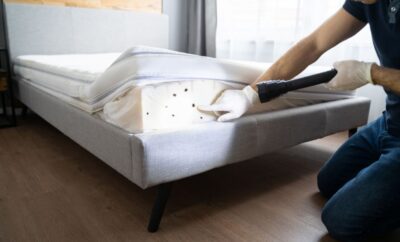 Traitement des punaises de lit : Qui paie ?Propriétaire ou le locataire ?